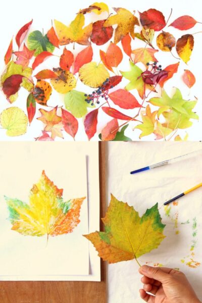 Cách vẽ tranh in hoa lá các loại lá rụng