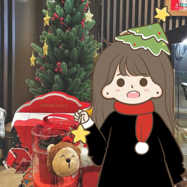 Hình ảnh avatar Noel cho bạn gái