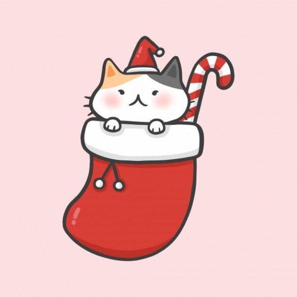 Hình ảnh avatar Noel mèo con trong tất