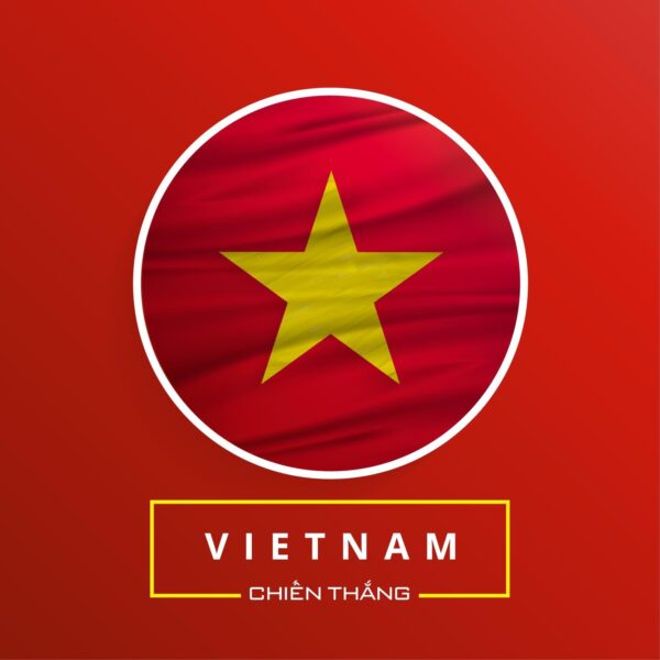 Hình ảnh avatar Việt Nam chiến thắng