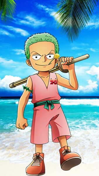 hình ảnh Zoro lúc nhỏ