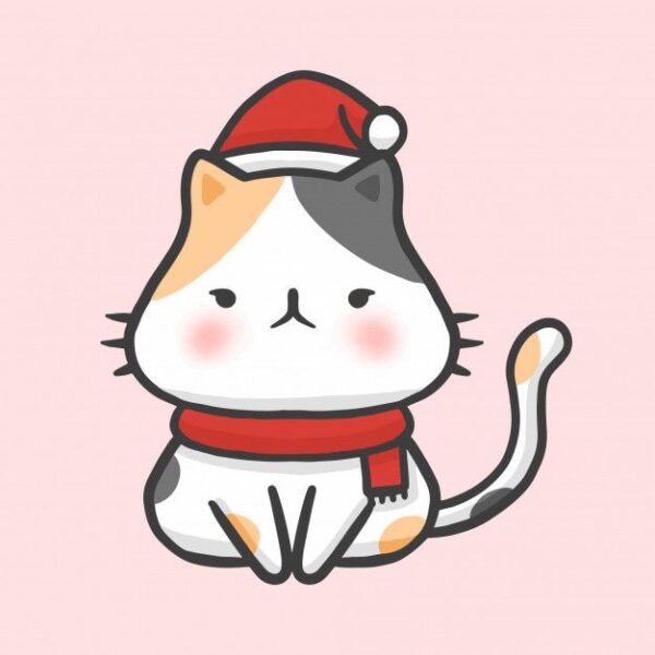Hình avatar Noel mèo khó tính