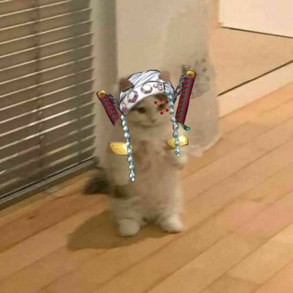 Hình mèo cầm dao 2 cây lớn