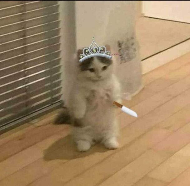 Hình mèo cầm dao đội vương miện