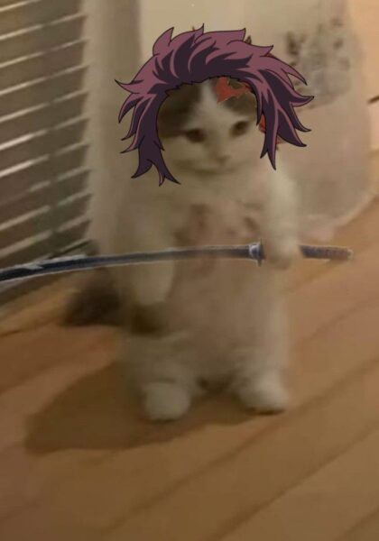 Hình mèo cầm dao tóc tím