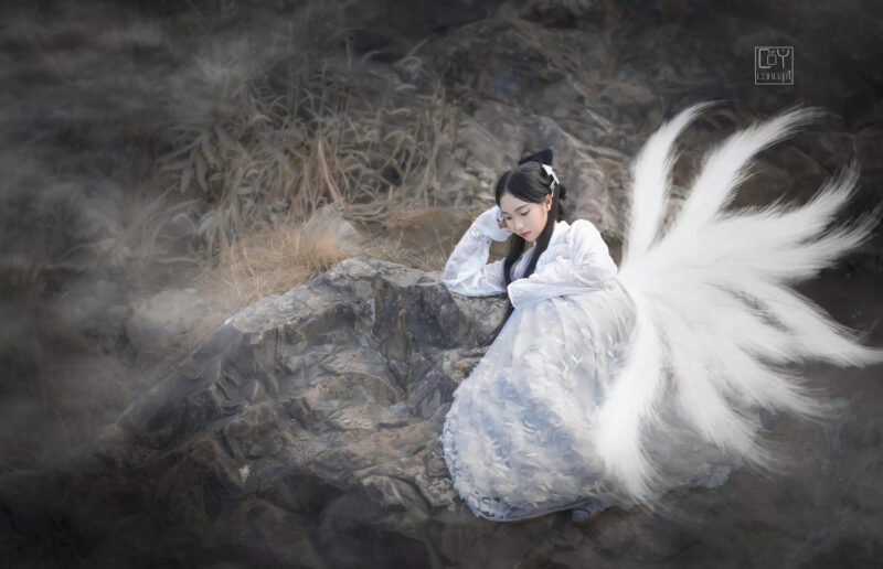 Ảnh hồ ly nằm trên mỏm đá