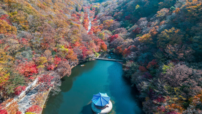Hình ảnh Hàn Quốc đẹp mê hồn