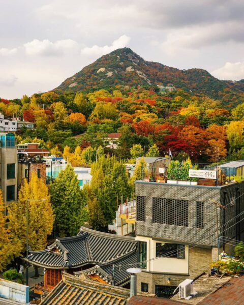 Hình ảnh Hàn Quốc nơi phố cổ