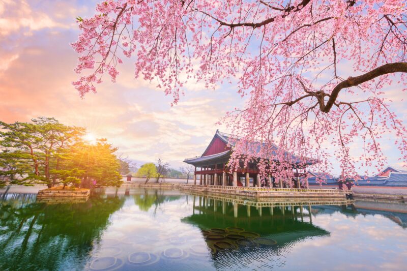 Hình ảnh Hàn Quốc phong cảnh tuyệt đẹp