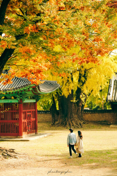 Hình ảnh Hàn Quốc về mùa thu đẹp lãng mạn