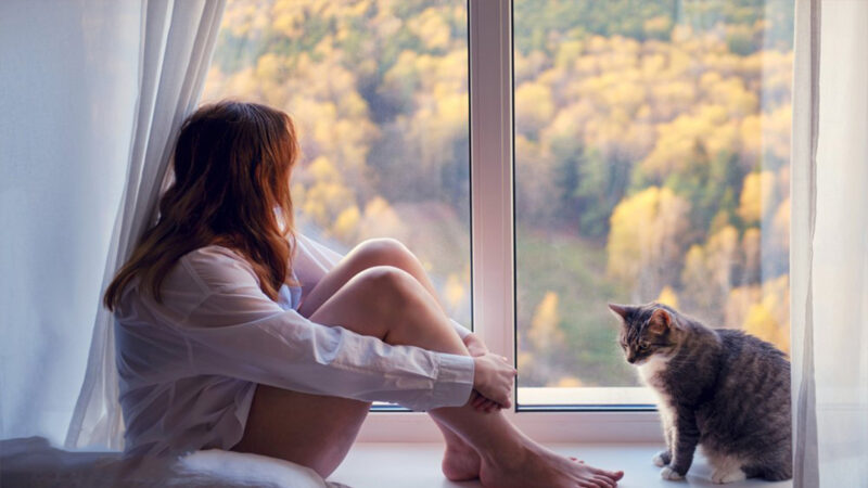 ảnh nhớ người yêu cô gái và chú mèo