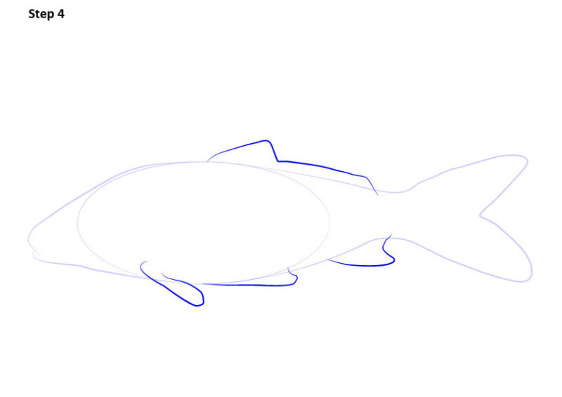 Cách vẽ cá chép bước 4