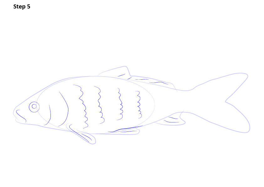 102+ Hình Vẽ Cá Chép, Cách Vẽ Cá Chép Đơn Giản Mà Đẹp