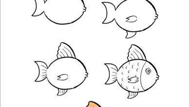 Cách vẽ con cá hoạt hình