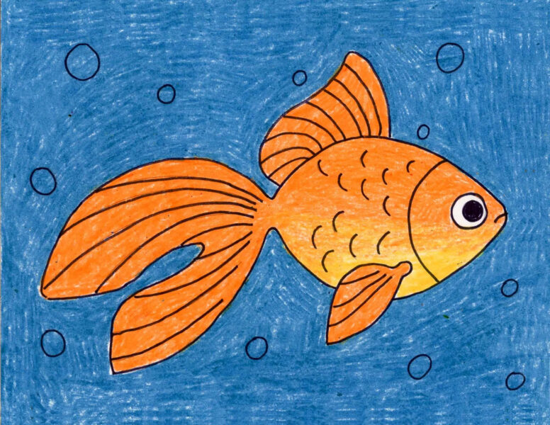 Vẽ con cá  Cách vẽ đơn giản cho người mới bắt đầu