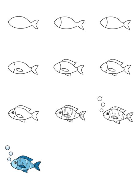 Cách vẽ con cá hoạt hình cho người mới học vẽ