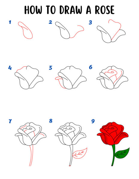 Cách vẽ hoa hồng 9 bước cơ bản