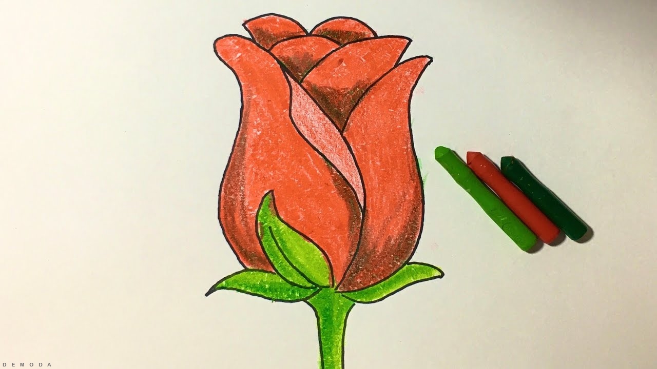 Cách Vẽ Hoa Hồng Đẹp, [Chưa Bao Giờ Dễ Như Vậy]