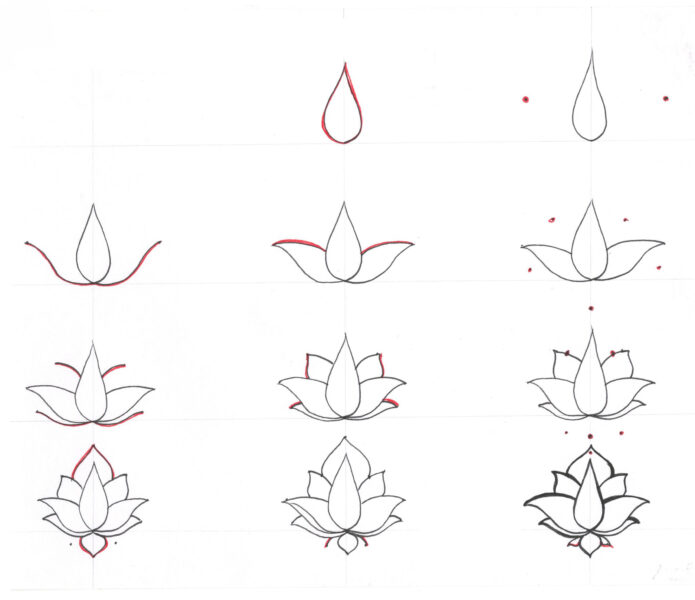 Cách vẽ hoa sen chi tiết nhất