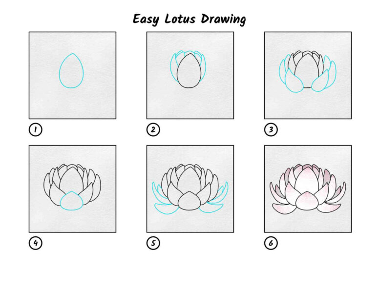 Cách vẽ hoa sen to tròn