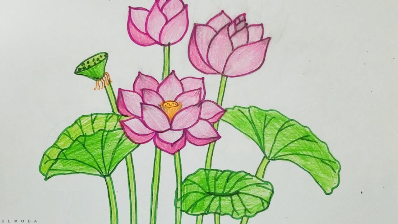 Dễ dàng vẽ một bông hoa từng bước  cách vẽ hoa và tô màu cho trẻ em  Draw  Dolls  YouTube
