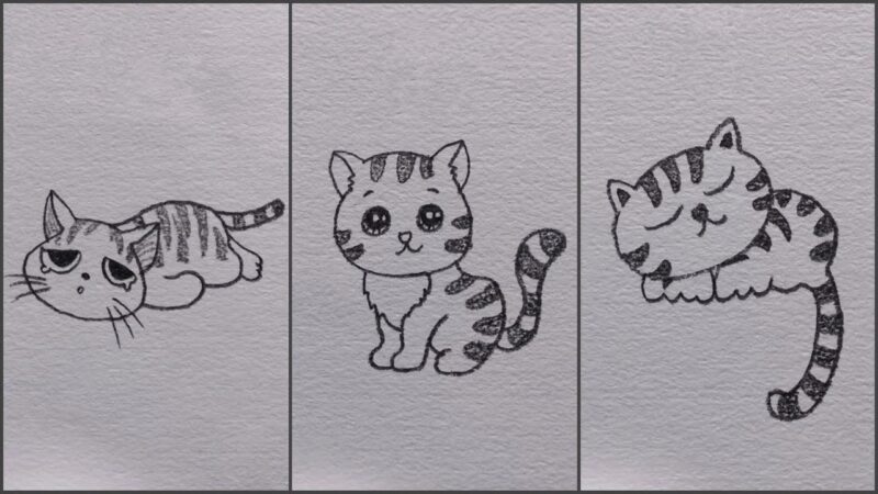 Cách vẽ mèo con cute bằng bút chì