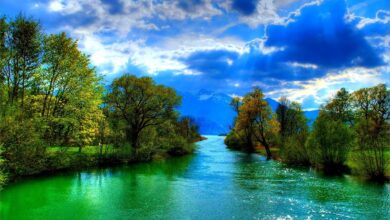 Hình ảnh dòng sông