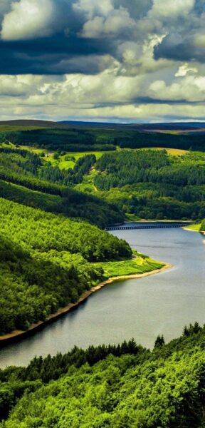 hình dòng sông và núi rừng xanh biếc