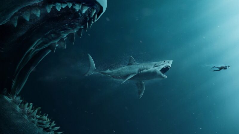 Top với hơn 93 hình nền cá mập megalodon tuyệt vời nhất  thdonghoadian