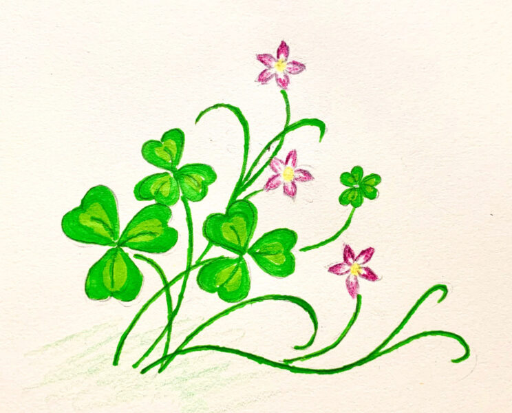 Hình vẽ bông hoa may mắn