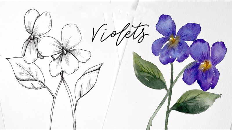 Hình vẽ bông hoa violet đen trắng