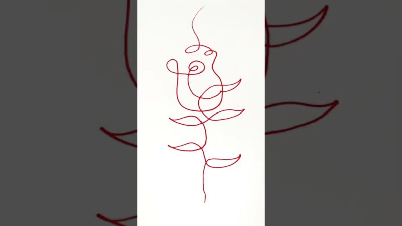 hình vẽ hoa hồng bằng 1 nét
