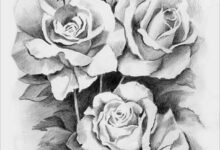 Hình vẽ hoa hồng đẹp bằng bút chì