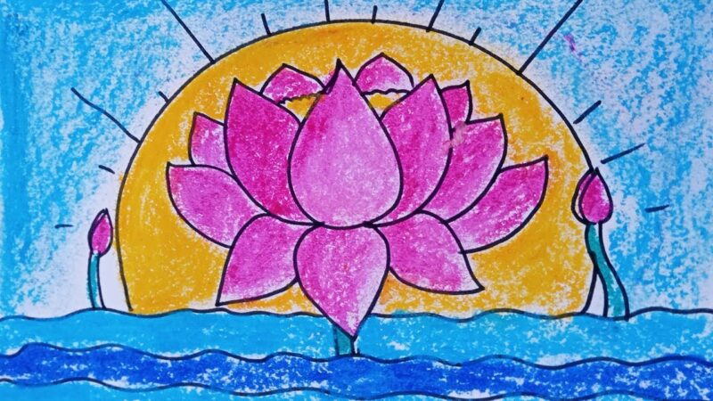 Hình vẽ hoa sen lúc bình minh