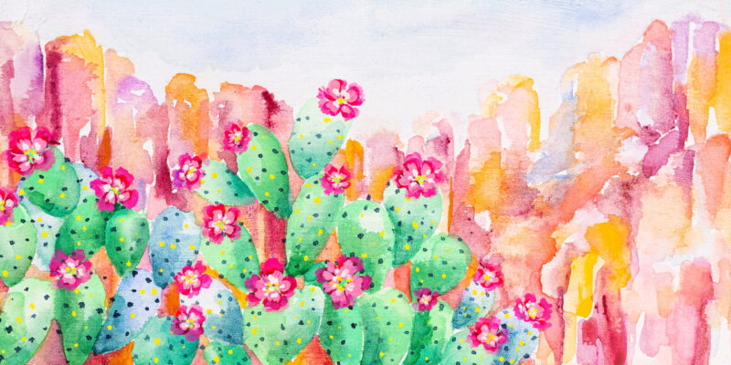 tranh vườn hoa xương rồng