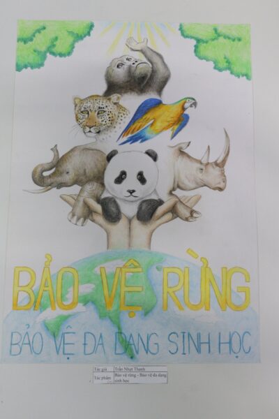Vẽ tranh cổ động lớp 8 bảo vệ đa dạng sinh học