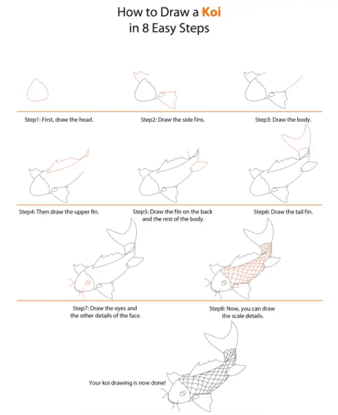 Cách vẽ cá chép bằng 8 bước