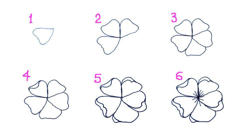 Cách vẽ hoa anh đào bằng 6 bước cơ bản