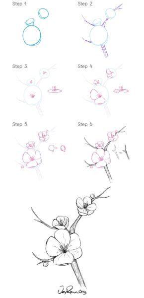 Cách vẽ hoa anh đào bằng bút chì