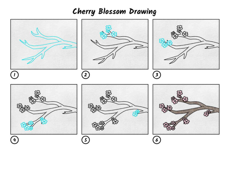Cách vẽ hoa anh đào chi tiết đơn giản nhất