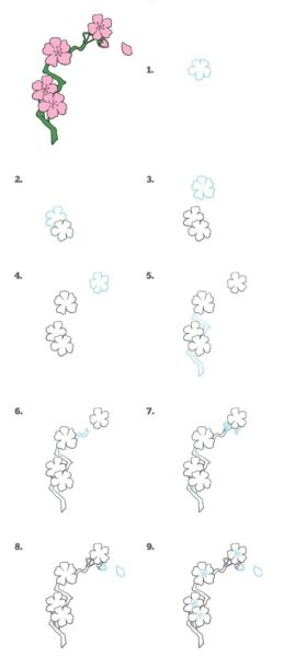 Cách vẽ hoa anh đào chi tiết với 9 bước