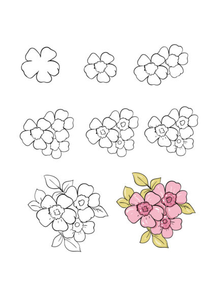 Cách vẽ hoa anh đào mọc thành chùm