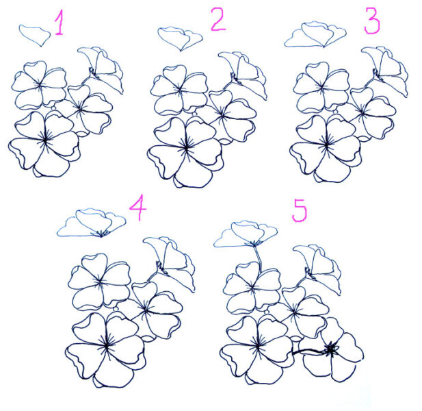 Cách vẽ hoa anh đào nở rộ với 5 bước