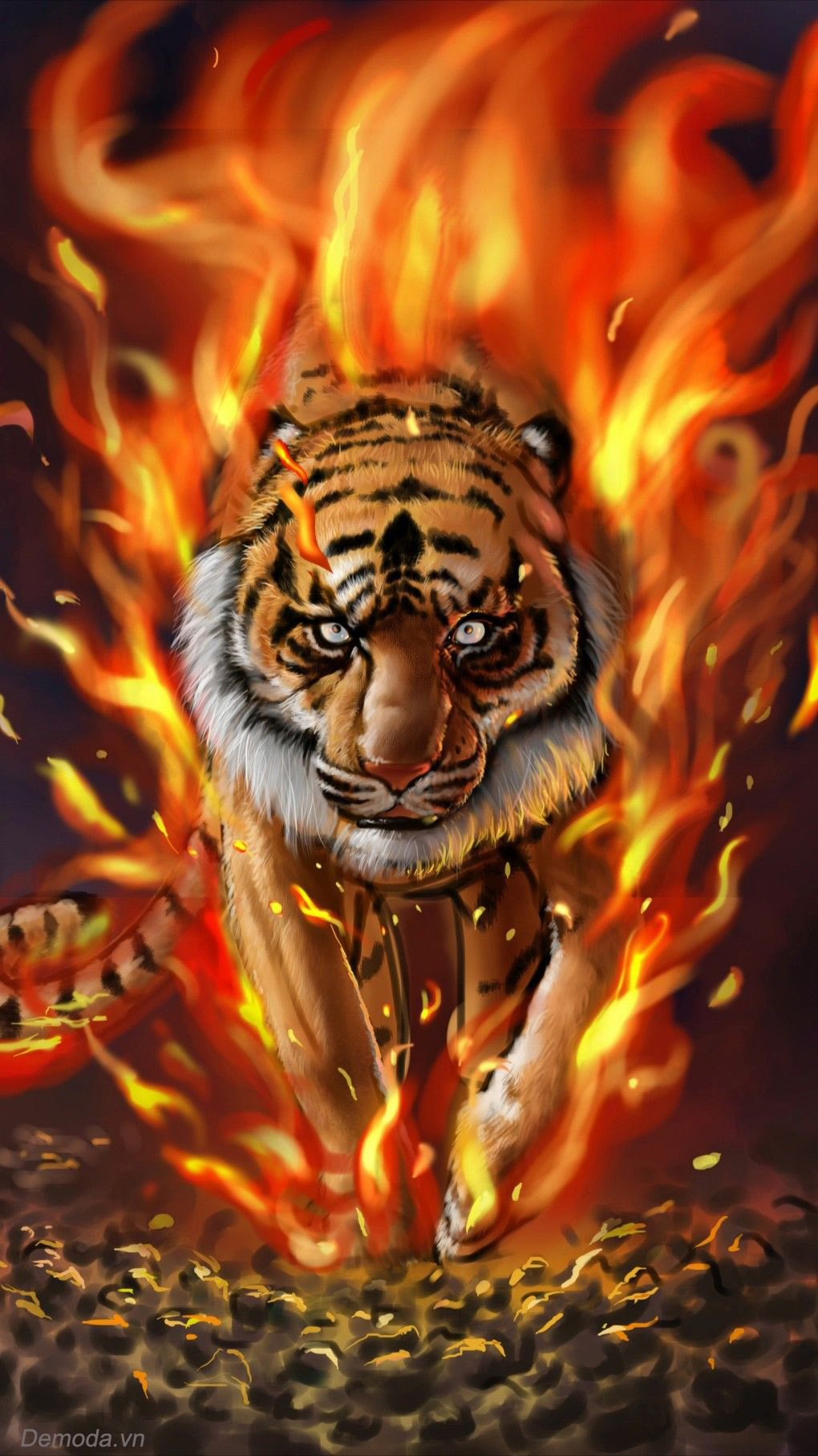 50 hình ảnh con hổ đẹp và hình nền Hổ 3d dũng mãnh mới nhất siêu chất