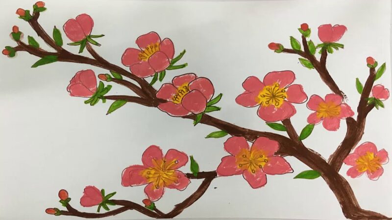 Hình vẽ hoa anh đào tô màu cam