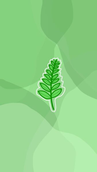 hình nền iphone cute cành ô liu xanh