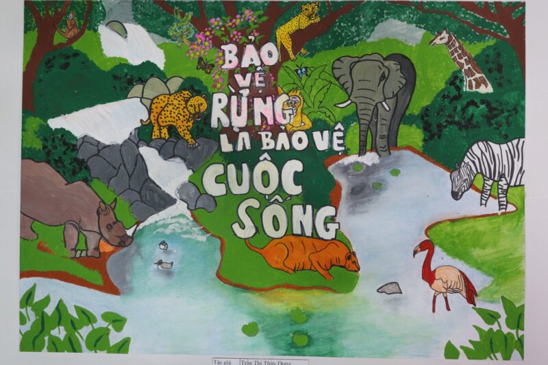 vẽ tranh bảo vệ động vật hoang dã bằng cách bảo vệ rừng