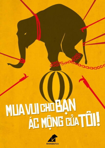 vẽ tranh bảo vệ động vật hoang dã lên án hành vi bắt voi làm xiếc