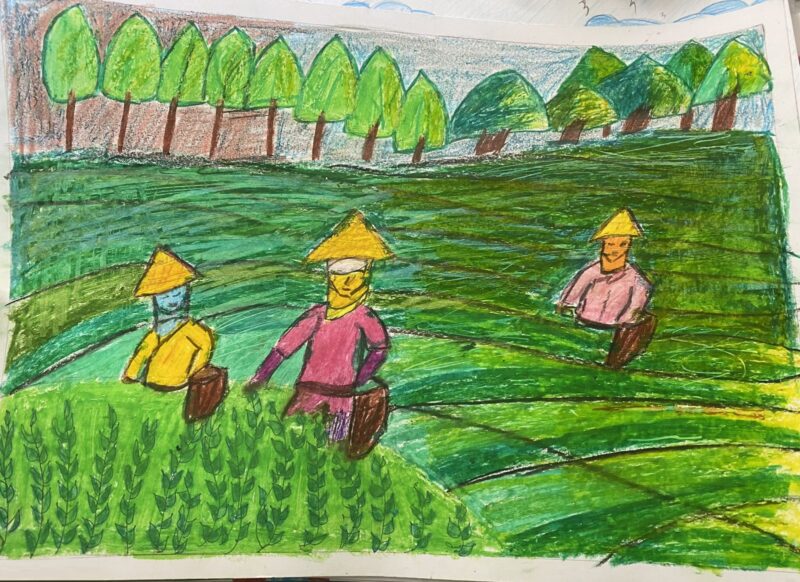 vẽ tranh hành trình mùa xuân lên rừng xuống biển công nhân hái chè
